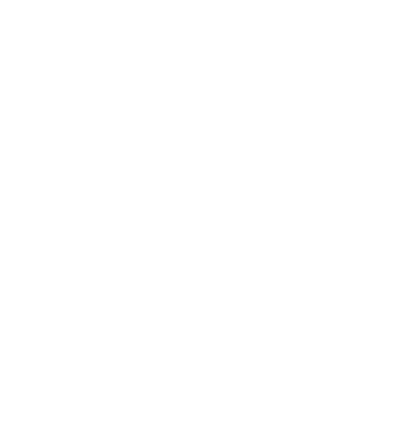 Consejo Federal de Inversiones