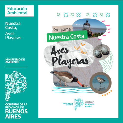 Imagen de Programa Nuestra Costa - Aves Playeras