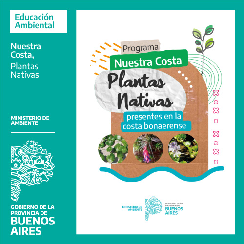 Plantas Nativas presentes en la Costa Bonaerense