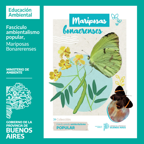 Mariposas Bonaerenses