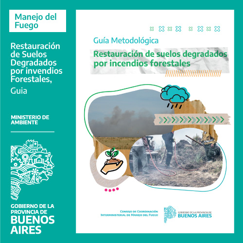 Guía Metodológica restauración de suelos degradados por incendios forestales