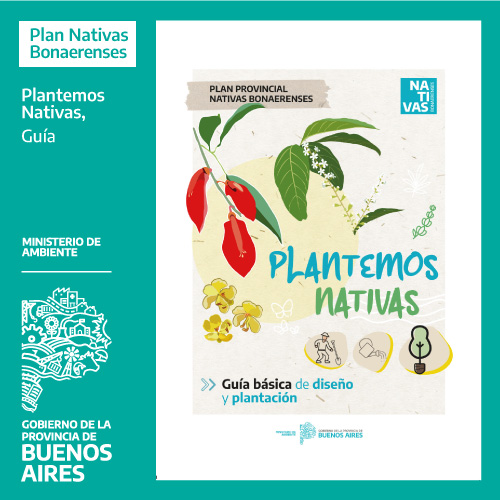 Guía de Plantación de Nativas